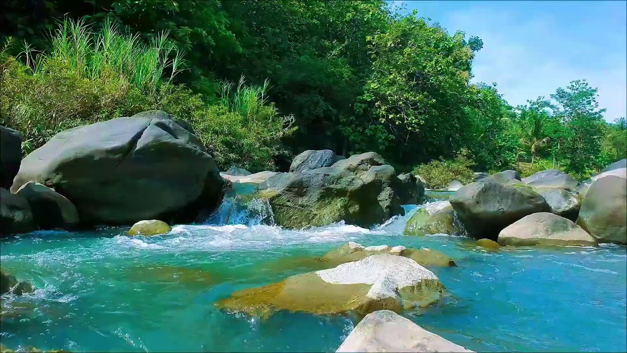 Forest River Sounds Live | Soothing Water White Noise for Sleep and Focus 🌲🌊