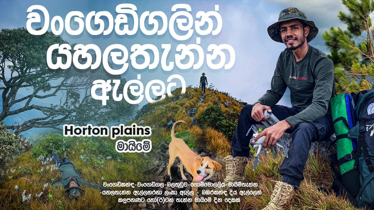 වංගෙඩිගලෙන් යහලතැන්න ඇල්ල හරහා බඹරකන්ඳ ඇල්ල සොයා ගිය දින දෙක | Wangedigala to bambarakanda waterfa