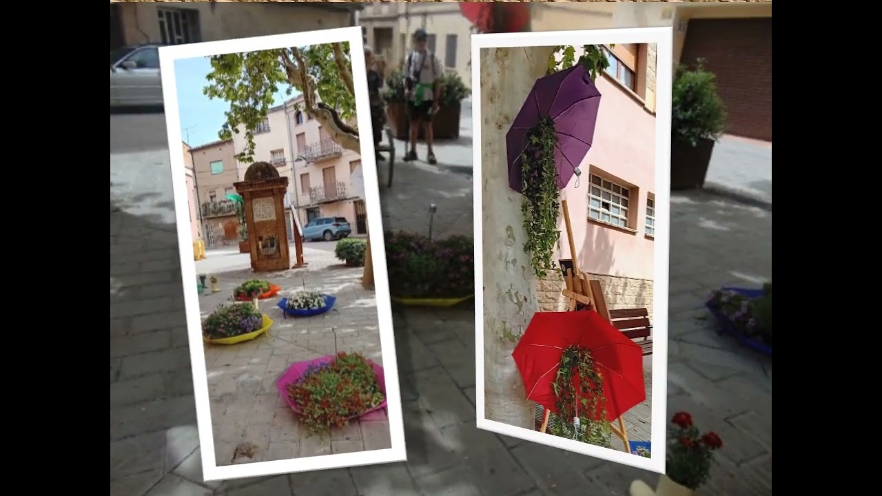 SANTPEDOR EN FLOR 25