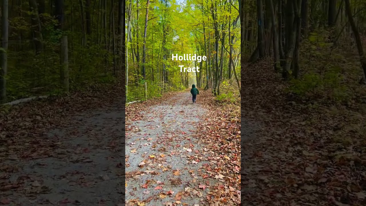 Hiking in colourful Ontario trail. 
