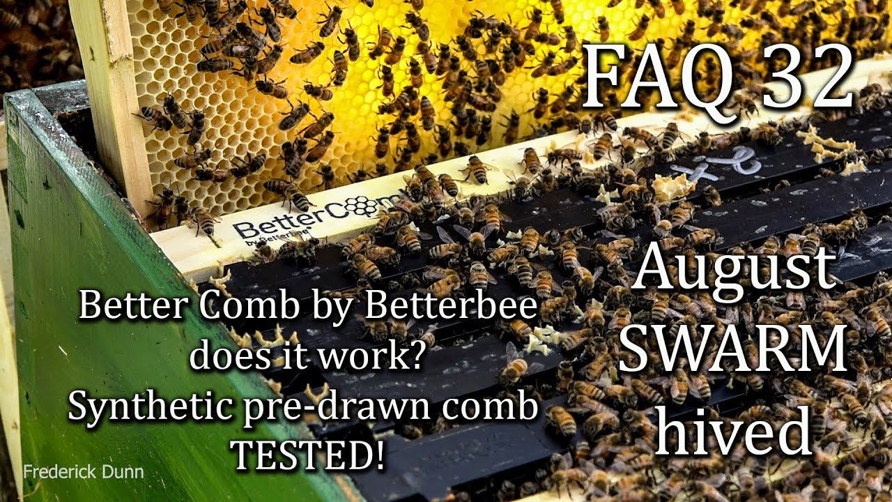 Better Comb by BetterBee (Review), FAQ 32,  Will Honey Bees Produce Brood in Better Comb?