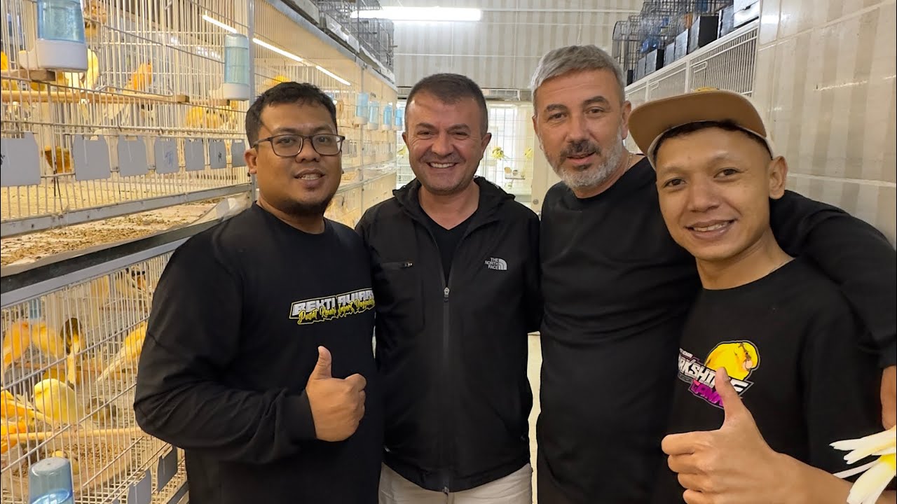 Belajar Langsung dengan Breeder Top Turki Nevzat Akin