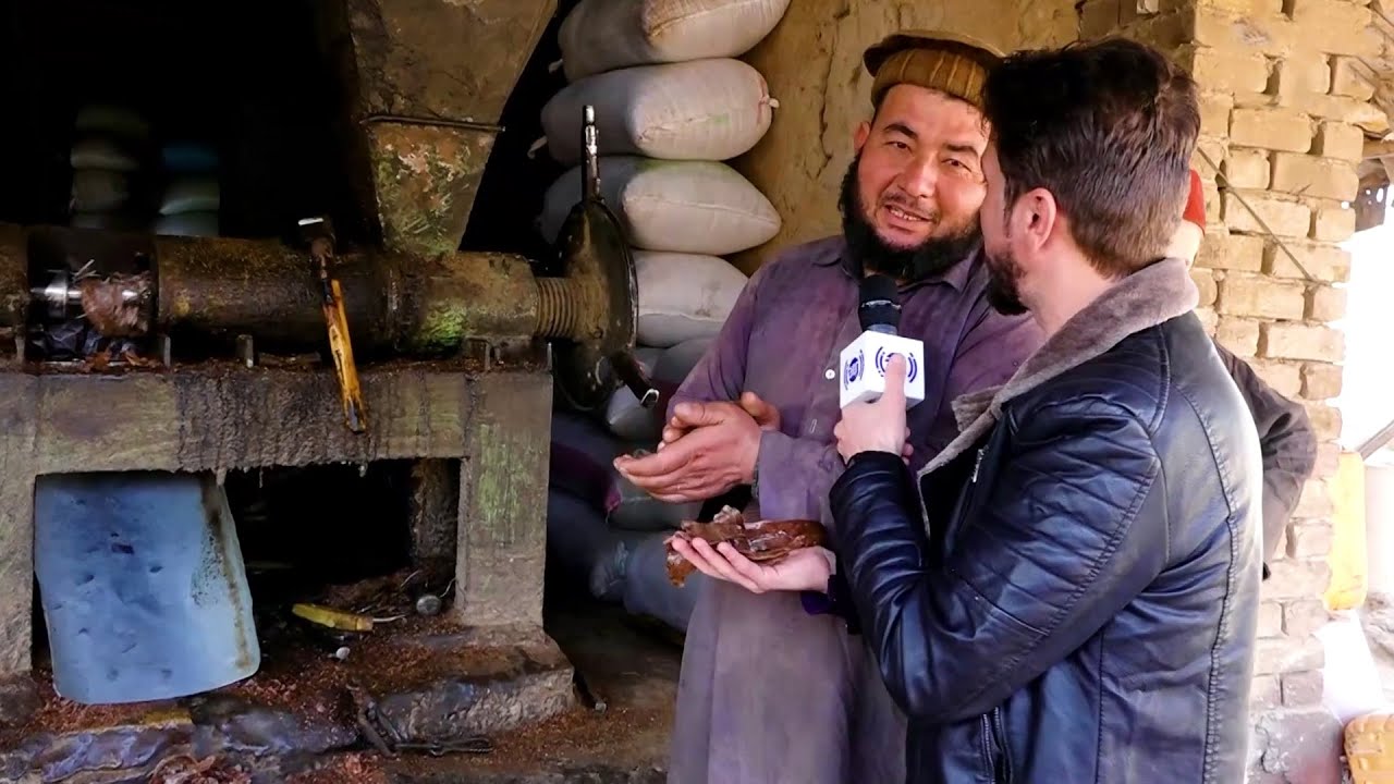 Zeghir oil Production in Takhar province, Waris reports / تولید روغن زغر در ولایت تخار