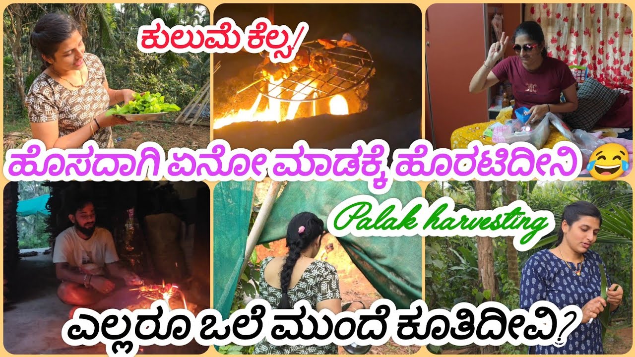 ಮನೆಗೆ ಬರ್ತಾ ಇರೋರು ಯಾರು? | ಪಾಲಕ್ ಸೊಪ್ಪು ಎಷ್ಟು ಸಿಕ್ತು!? | ನಮ್ಮನೆಗೆ ಗೆಸ್ಟ್ ಬರ್ತಾ ಇದಾರೆ😍| Harvesting