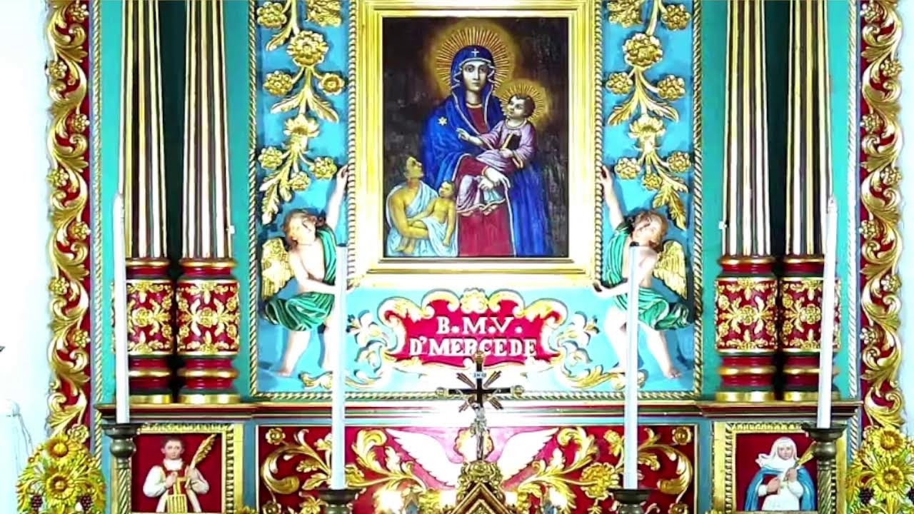 22 FEBRUARY 2026 - 11.30AM ||  LIVE HOLY MASS  ||  VALLARPADAM SHRINE BASILICA