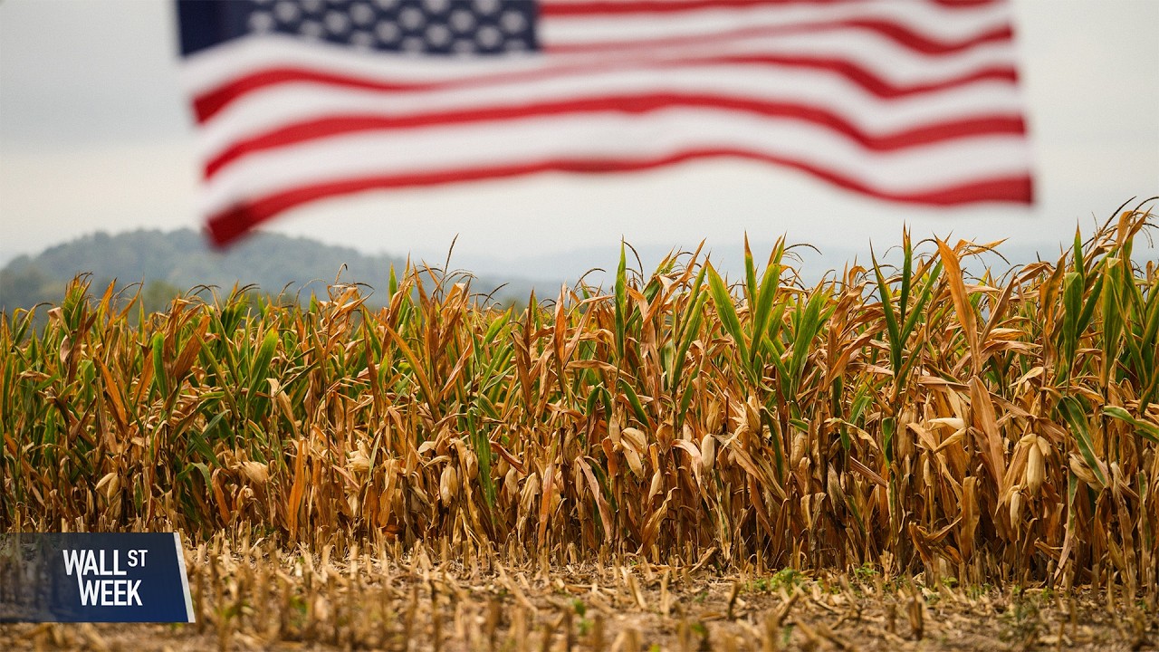 Иранская война вызвала потрясения на энергетических рынках и в мировой системе продовольственного...