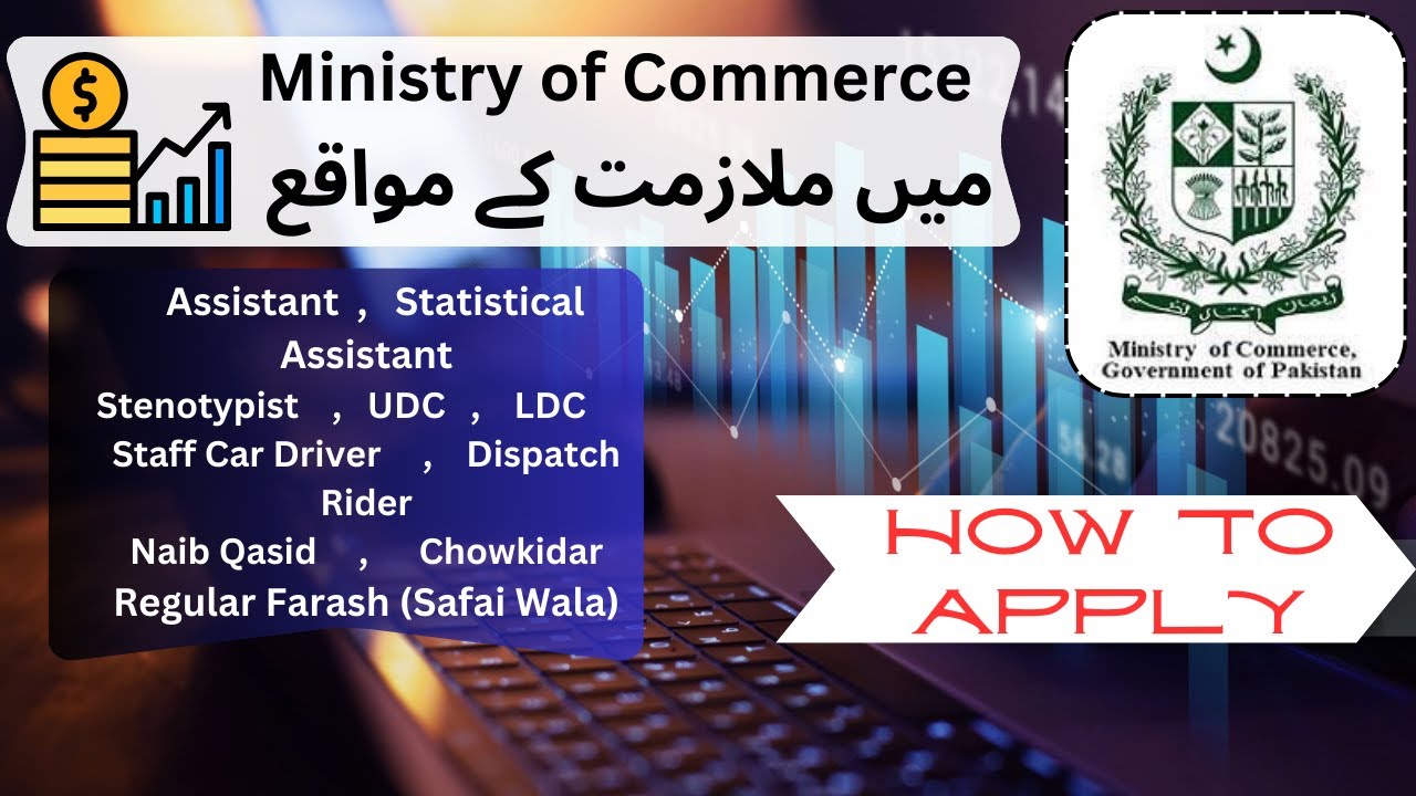 Ministry of Commerce New Jobs 2024 | HOW TO APPLY |