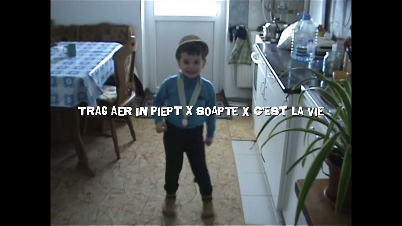 Trag Aer &Icirc;n Piept x Șoapte x C&rsquo;est La Vie (DANI LUPAS Remix)