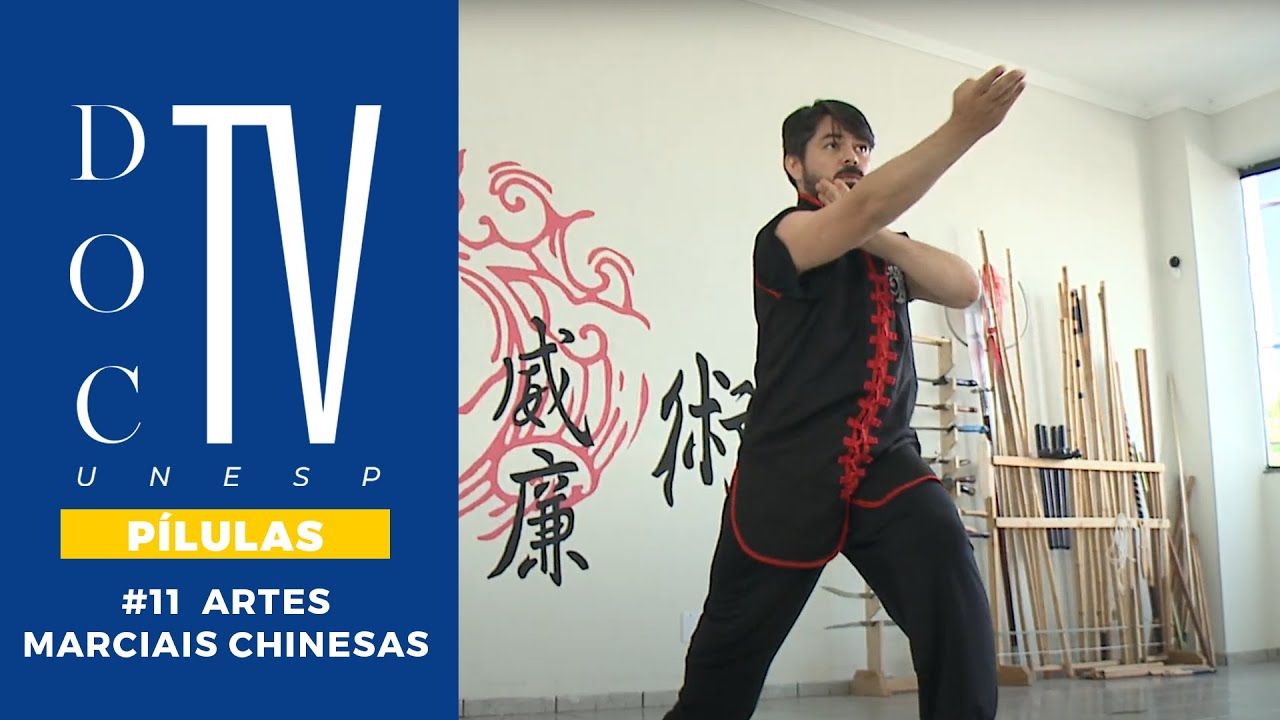 Doc TV Unesp - P&iacute;lulas | Artes Marciais Chinesas #tvunesp
