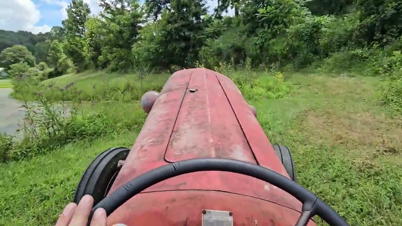 Massey 35 mowing the pond bank
