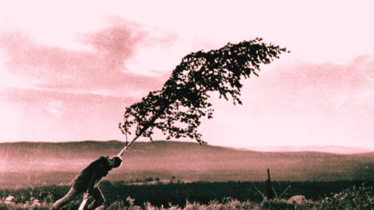Bergman’s Religious Imagery in The Virgin Spring (1960)