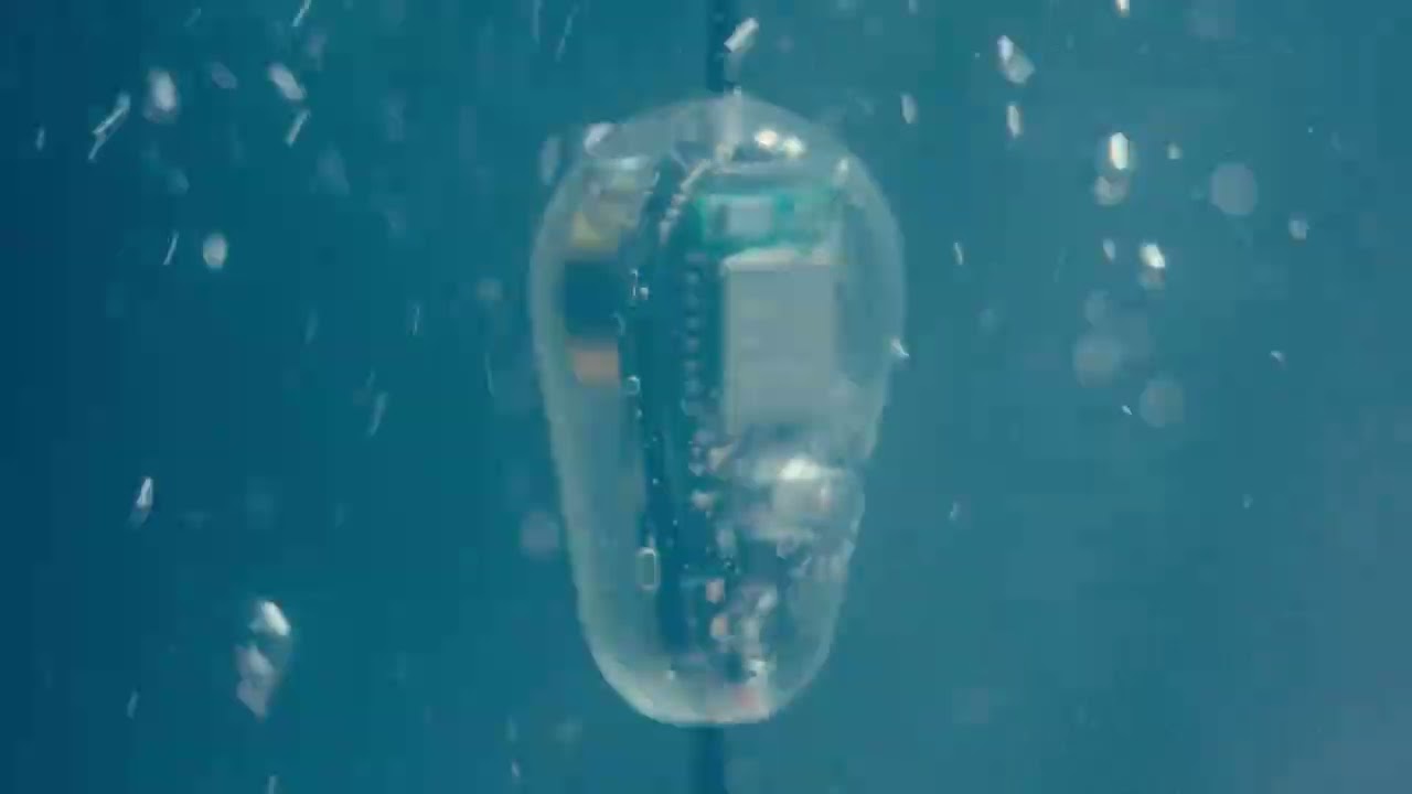 PROBE Introduction