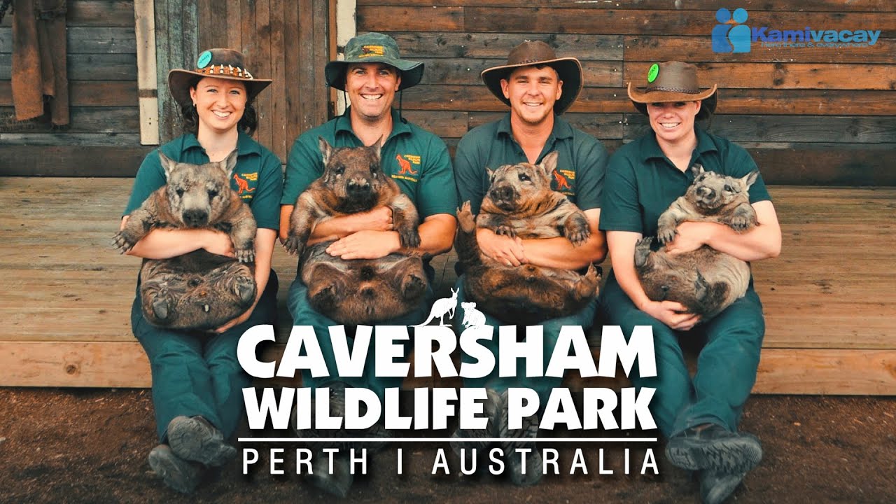 CAVERSHAM WILDLIFE PARK | DISCOVER PERTH'S BEST WILDLIFE EXPERIENCE 🇦🇺 [4K]