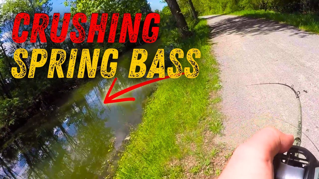 Spring Bank Fishing For Bass with Moving Baits