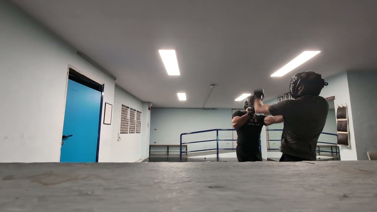 Sparring Wing Chun 1