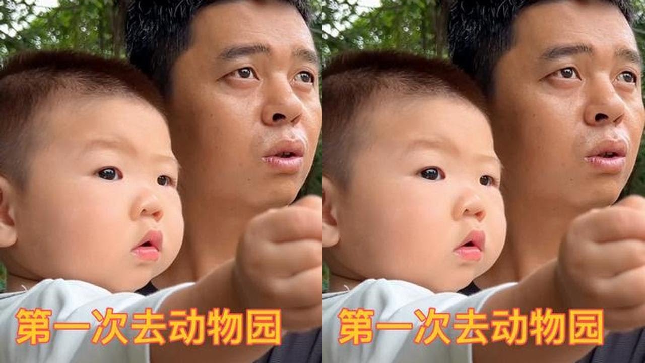 全家去动物园玩，宝宝困的打哈欠也不肯睡，瞪大眼睛嘴里还咿呀呀#亲子游 #带宝宝去动物园 #亲子时光