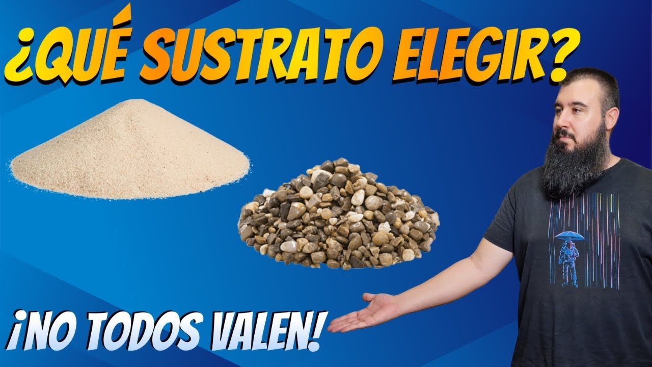 🐟 Elige el SUSTRATO PERFECTO para tu ACUARIO | Todo lo que DEBES SABER antes de empezar