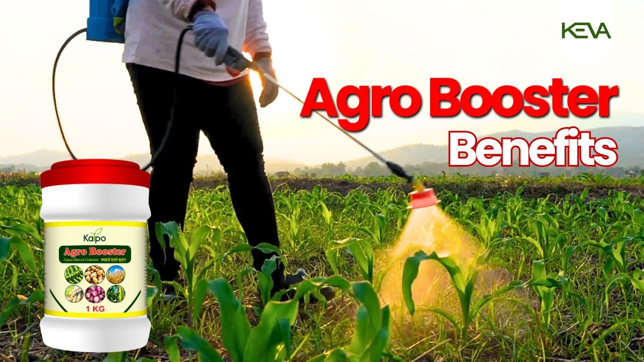 क्या आपको Keva Agro Booster के फ़ायदे पता है? @KevaIndustriesofficial