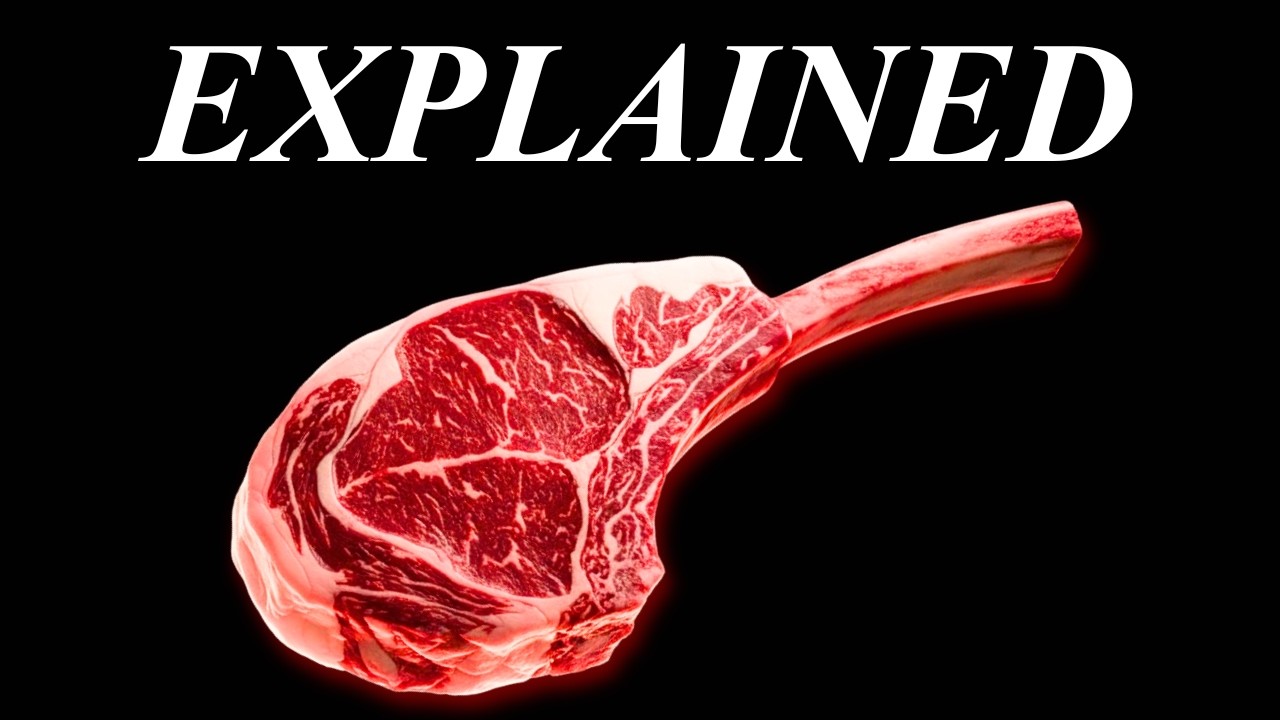 The REAL Reason The Carnivore Diet Works So Well