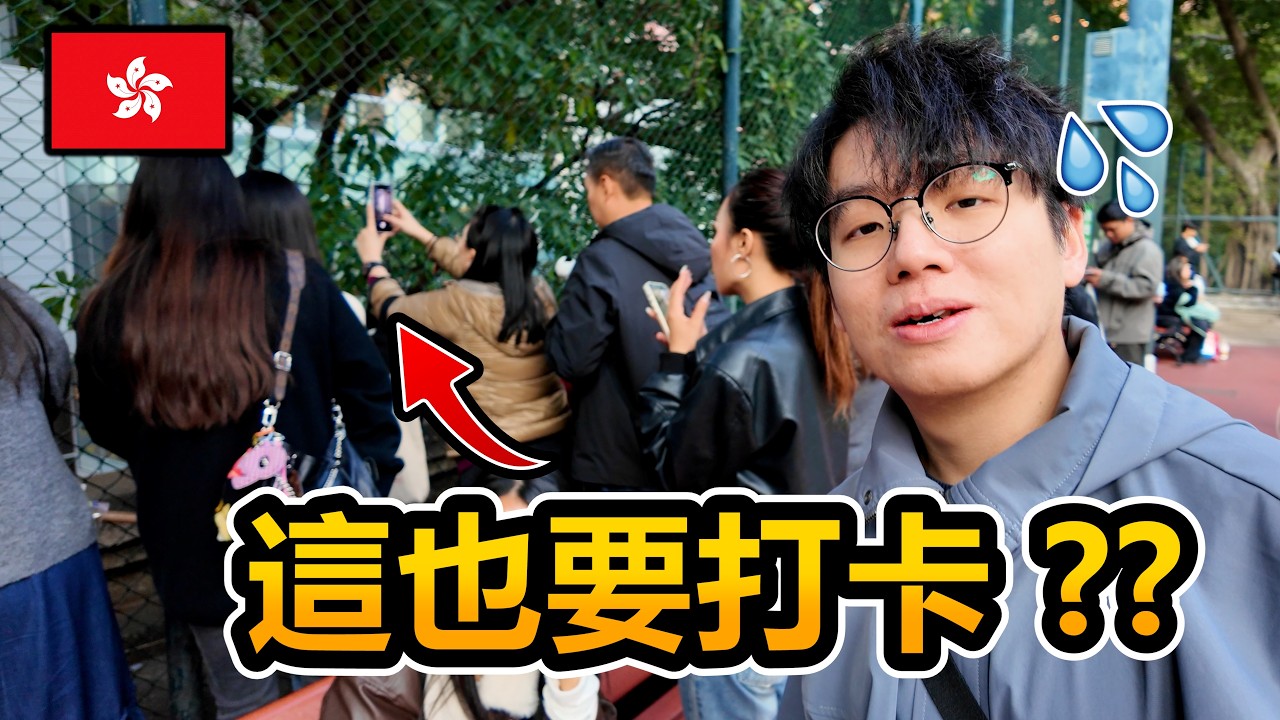 只跟著小紅書香港一日遊！8個推薦行程是否令人失望...