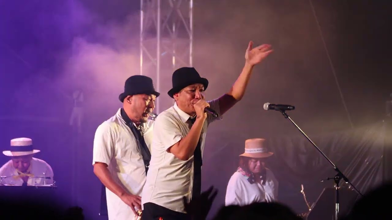 25 10 12 きいやま商店① オープニング、ハブとマングース