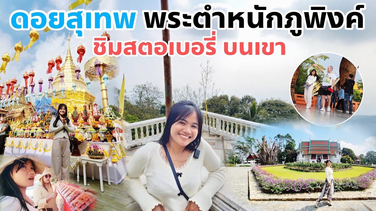 เที่ยวดอยสุเทพ ฝรั่งเยอะมาก ชมสวนดอกไม้พระตำหนักภูพิงค์