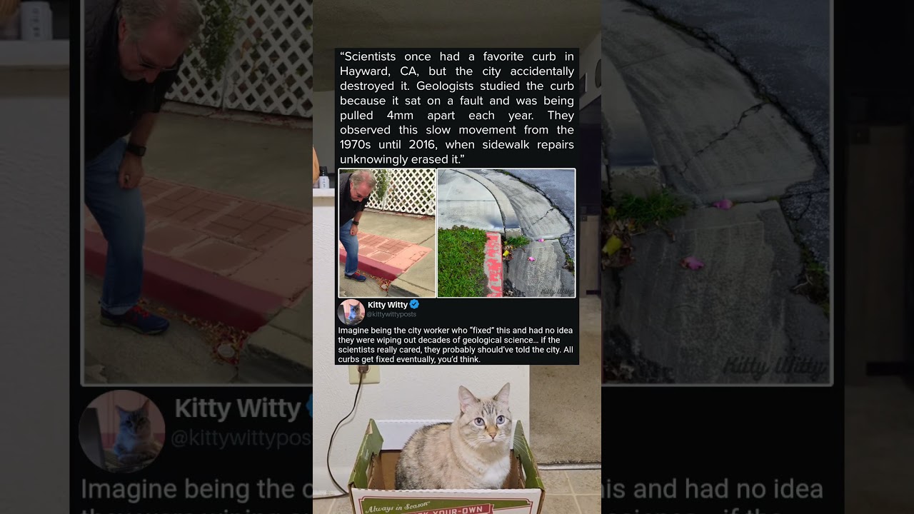 Ученые потеряли свой любимый бордюр