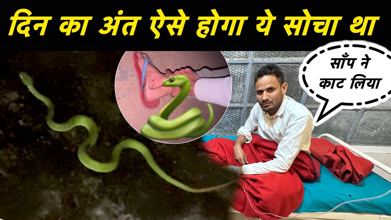 अचानक से ये क्या हो गया 🤦 🐍|| Snake Bite || Lakshman Pahadi