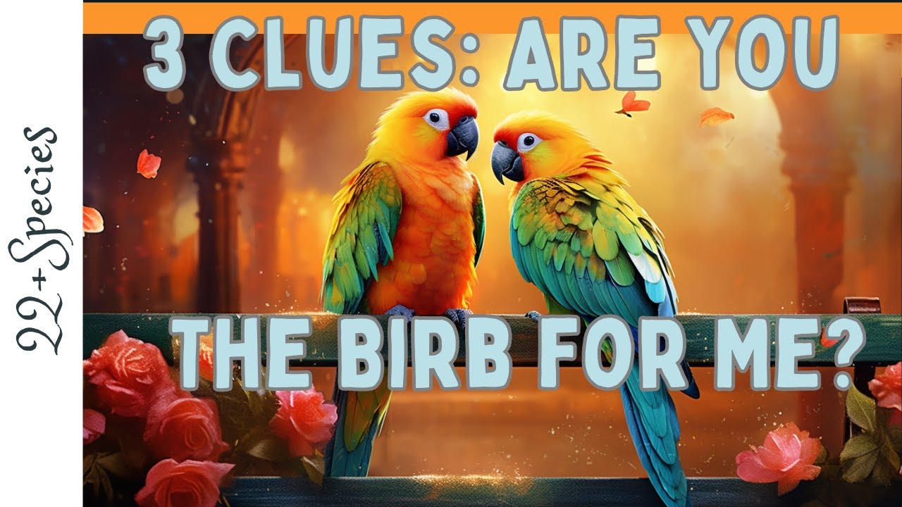 3 Indicators: What Parrot Is Right For You? | #parrot_bliss #bird #parrot