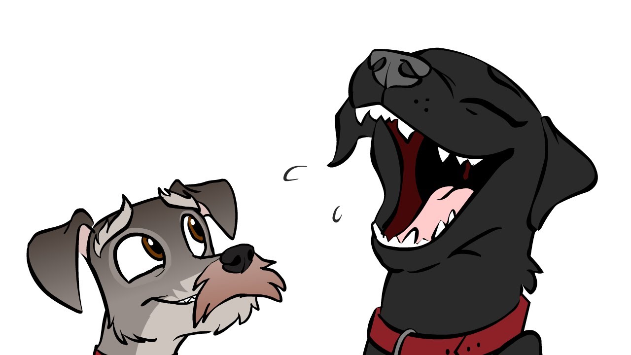 dog jokes