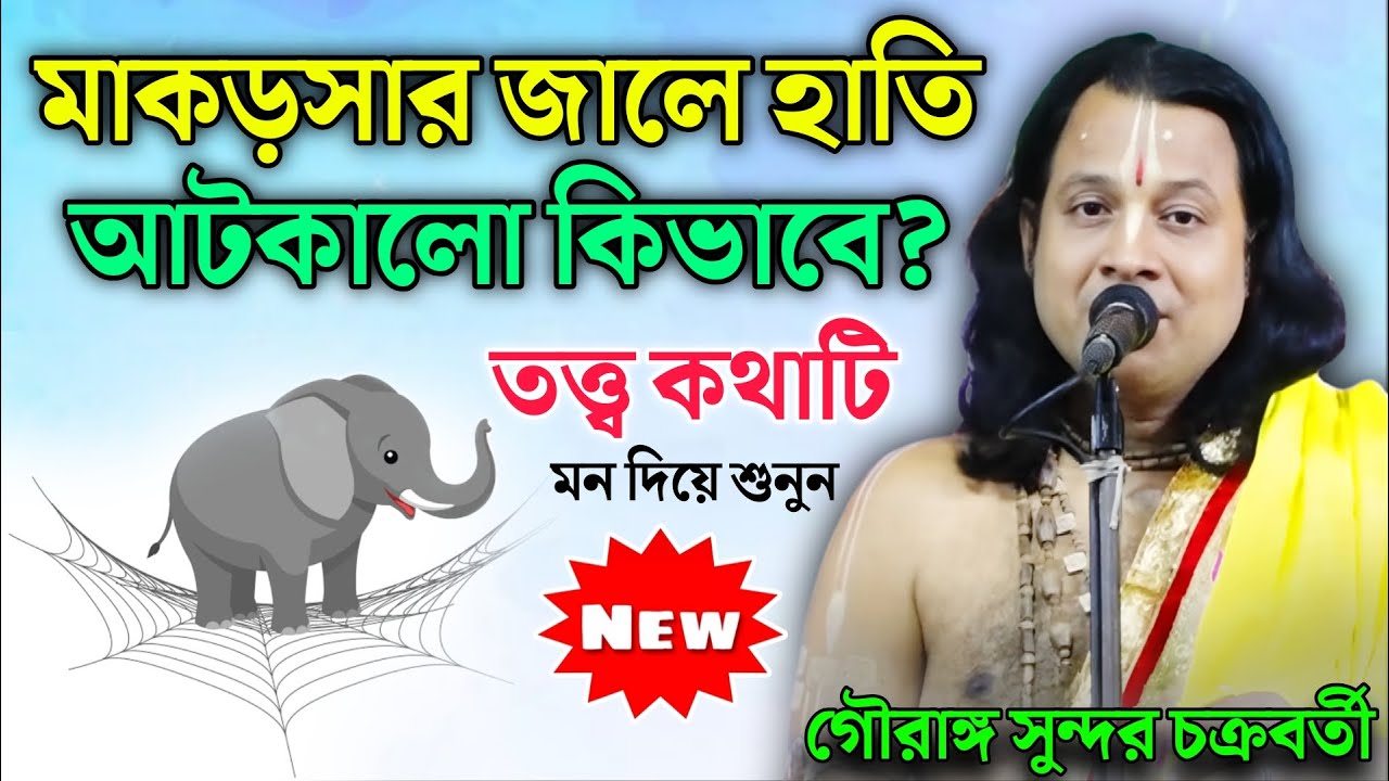 মাকড়সার জালে হাতি আটকালো কিভাবে ! তত্ত্ব কথাটি মন দিয়ে শুনুন | Gouranga Sundar Kirtan