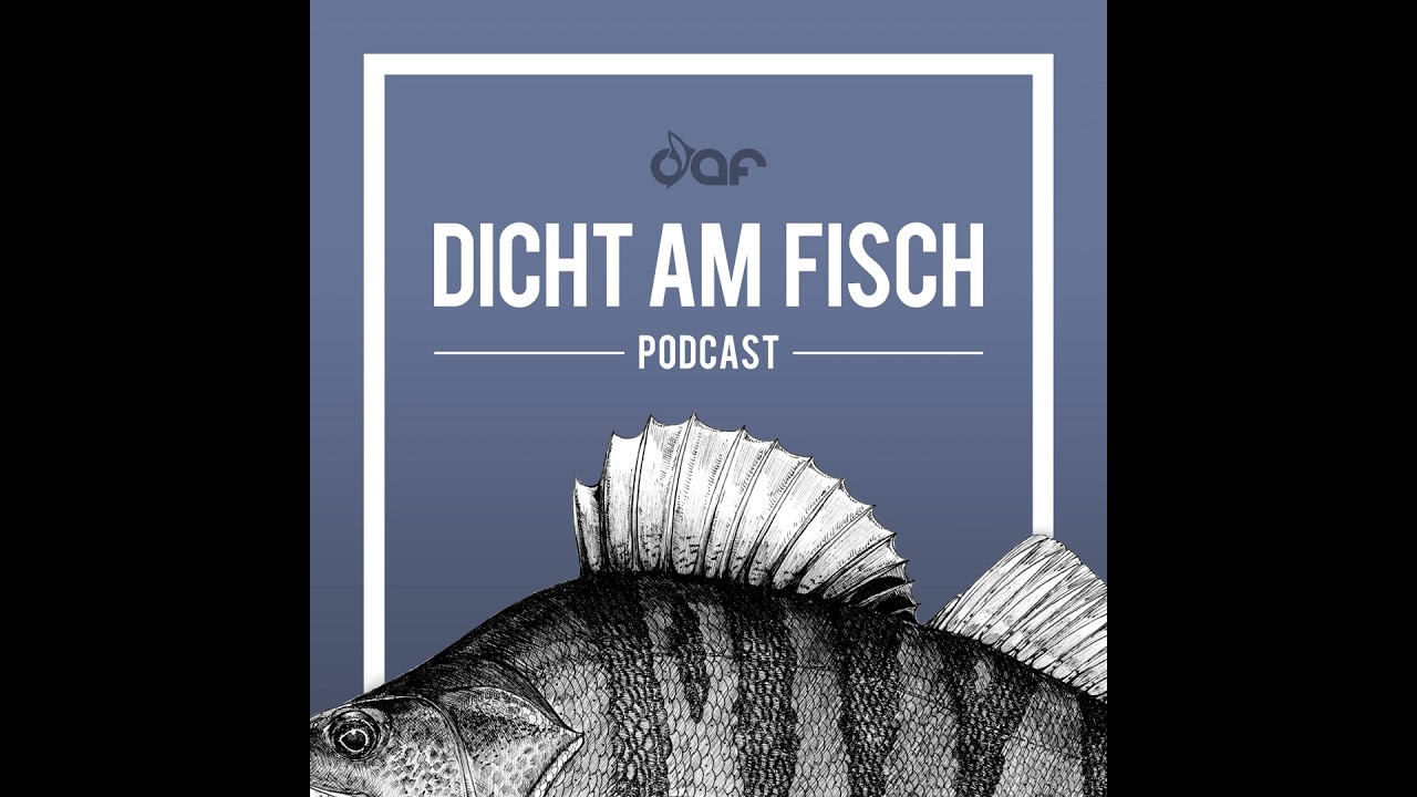 Dustin Sch&ouml;ne: Woher kommt der Erfolg?