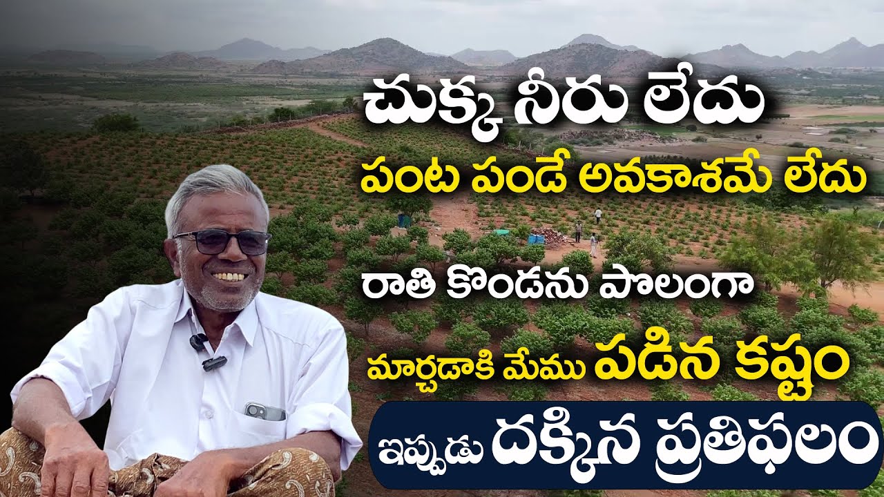 E331 | ఇన్నేళ్ల మా శ్రమ ఫలించింది | #gramabazaar | 94912 78836, 833 1800 100