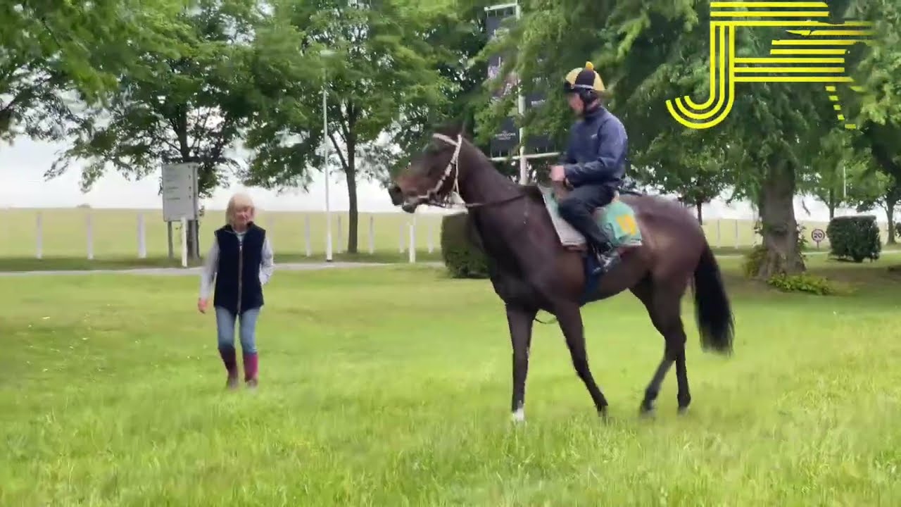 Newmarket gallops 04/06/22 - Julia Feilden Racing