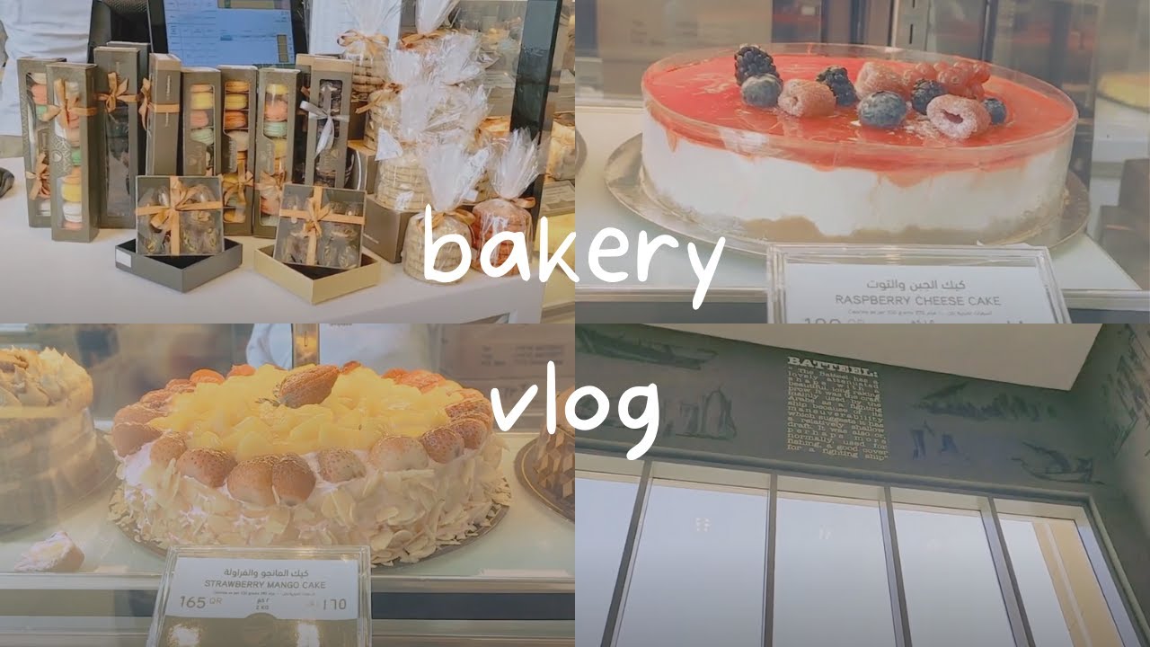 {VLOG} Bakery Tour, Batteel Bakery + Surprise for the twins!