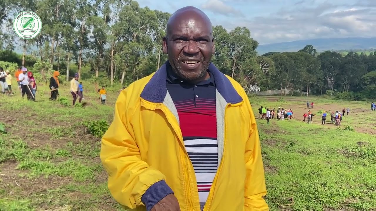 Namna bora ya kuandaa shamba la miti (FOREST PLANTATION LAND PREPARATION)