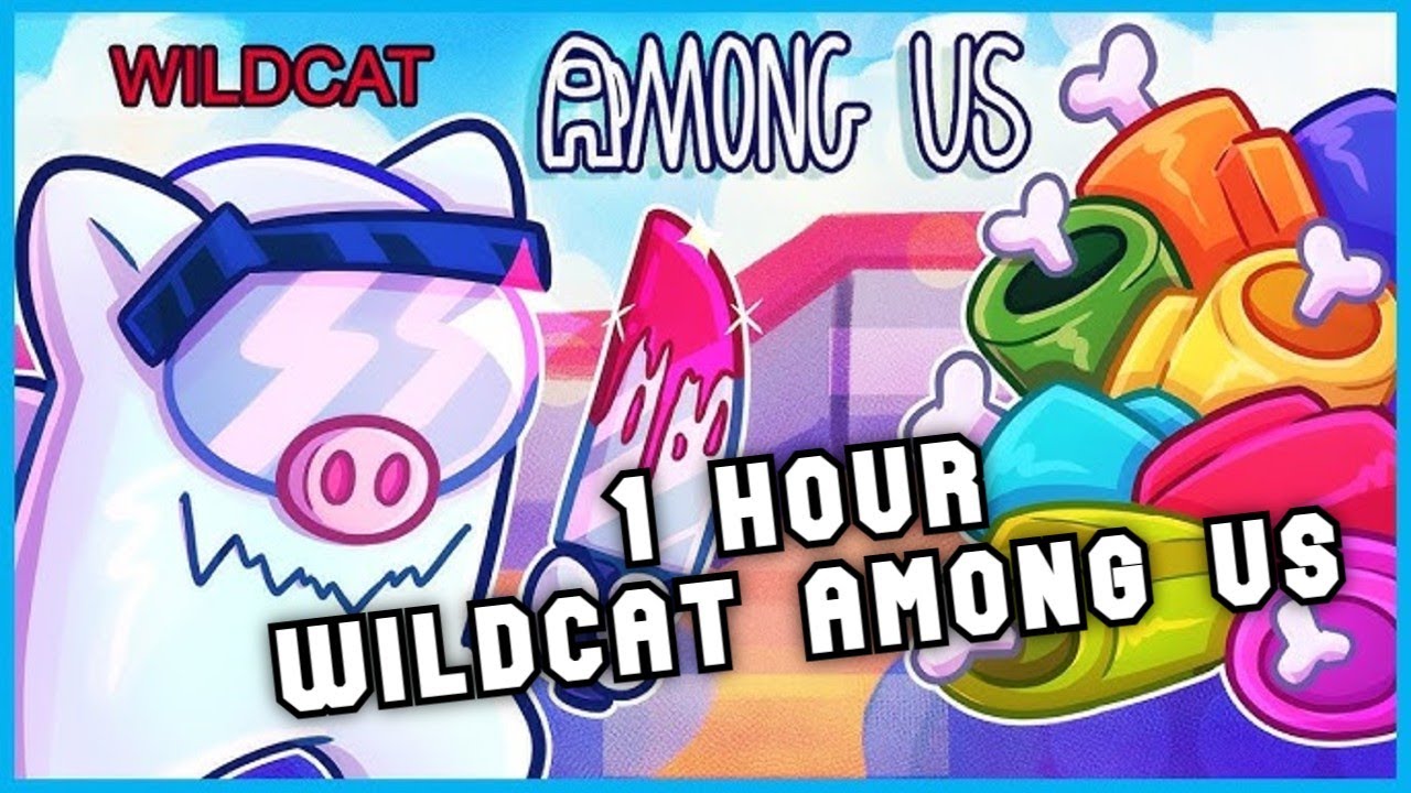 Wildcat Among Us Compilation #18 - 1 Hour - VanossGaming Compilation No Sponsors and End Cards