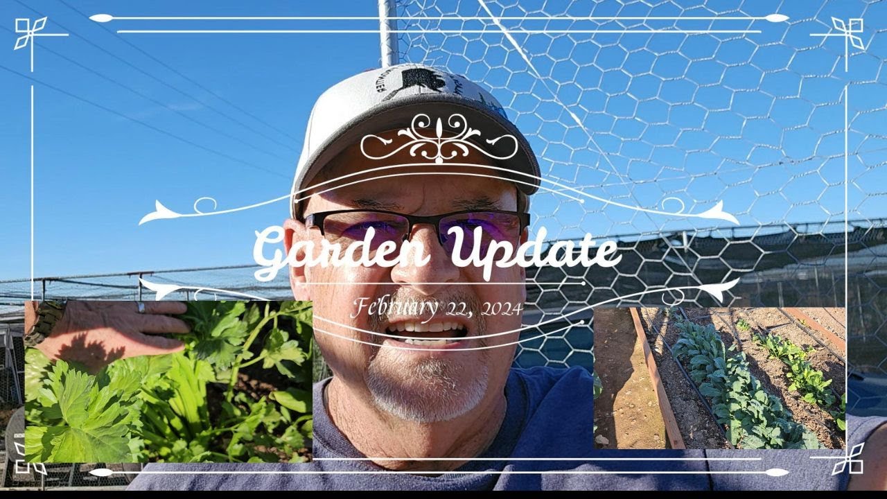 Garden update from Sun City West - #gardening #suncitywest #realestateagent