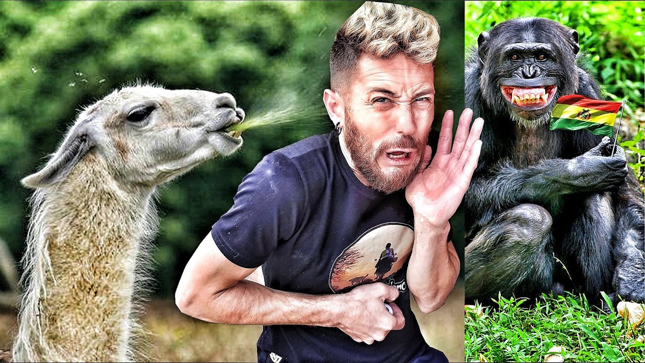 🙊 Así Es el ZOOLOGICO de ORURO 😲 👉 QUEDÉ LOCO ❗❗❗❗❗ ↪ BOLIVIA