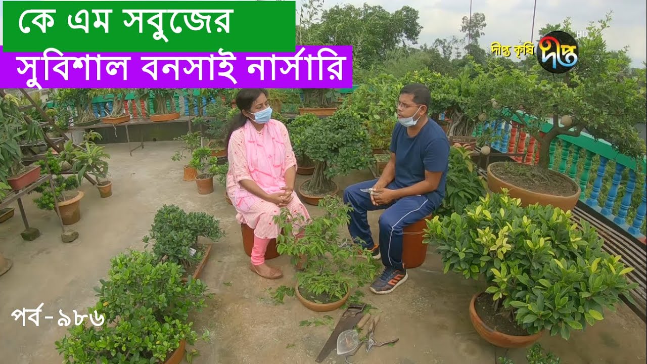Deepto Krishi/দীপ্ত কৃষি- কে এম সবুজের সুবিশাল বনসাই নার্সারি | গাজীপুর | deepto tv