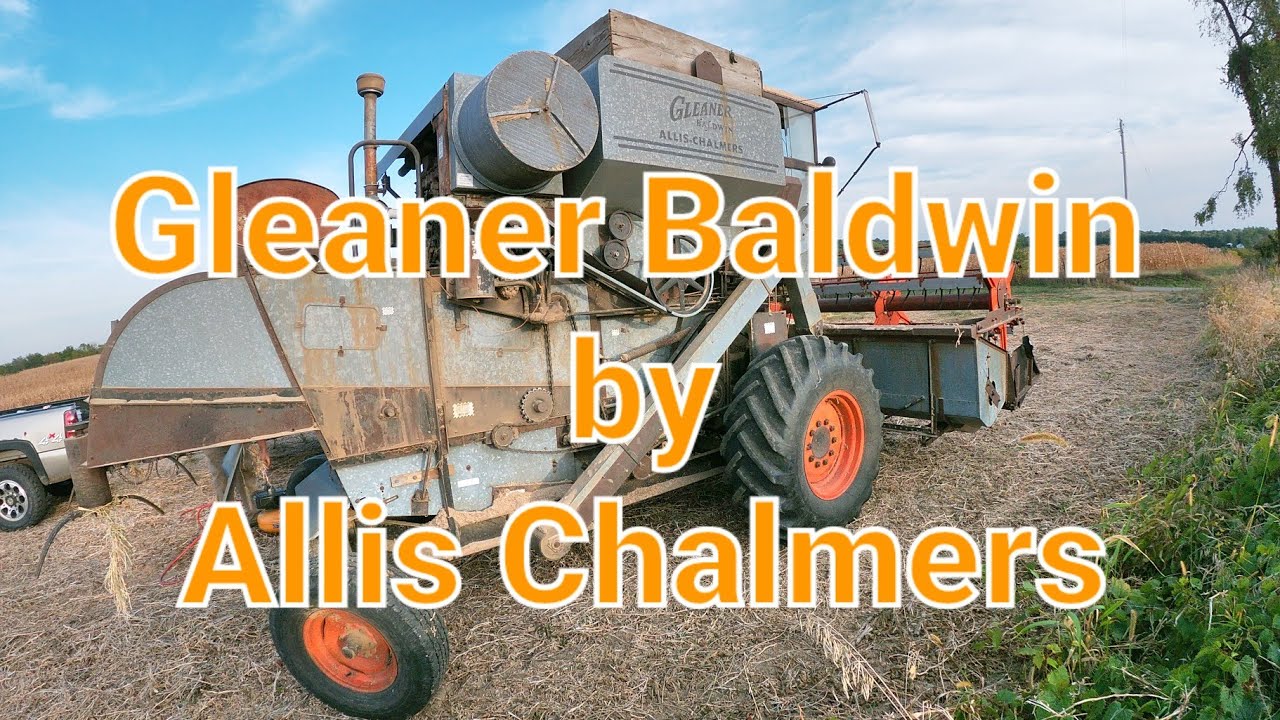 1967 Gleaner C II, thrashing 65+ B.P.A. soybeans.