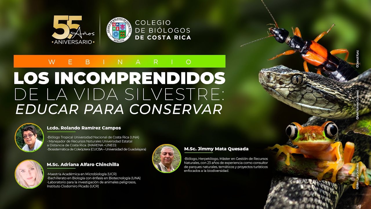 Los incomprendidos de la vida silvestre