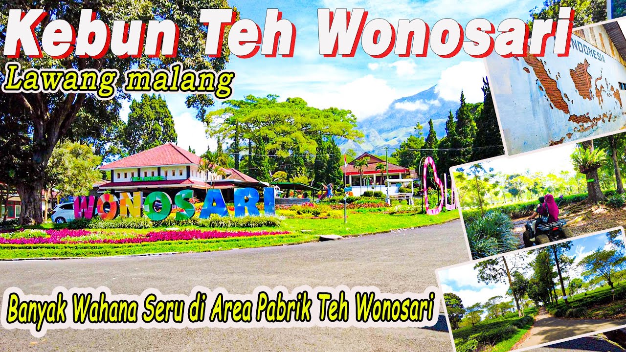 Kebun Teh Wonosari Lawang Malang | Banyak Wahana Seru di Area Pabrik teh wonosari
