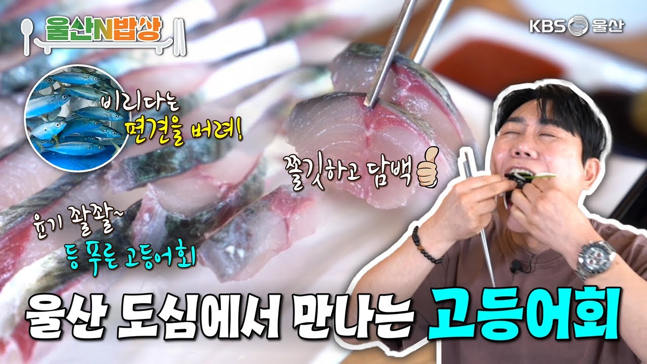 도심에서 만나는 고등어회! [KBS울산 보물창고 - 울산N밥상] 25.10.21 방송