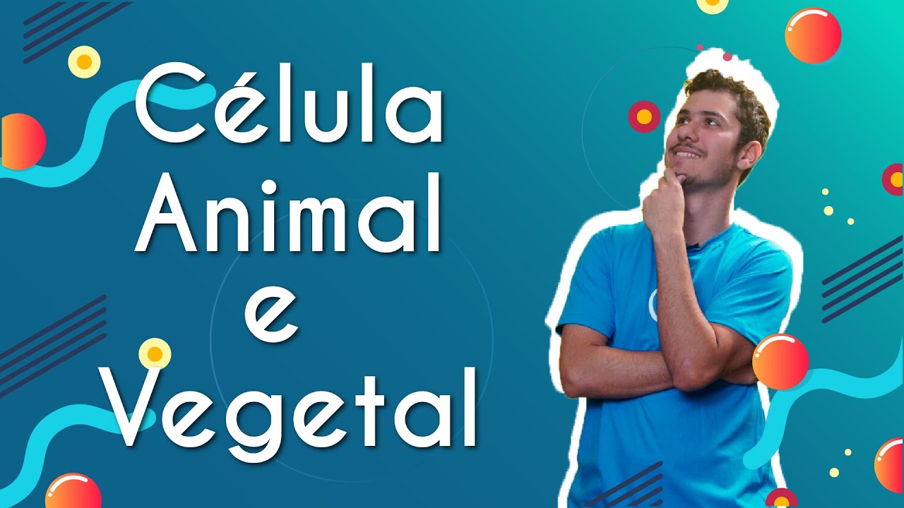 Célula Animal e Vegetal - Brasil Escola