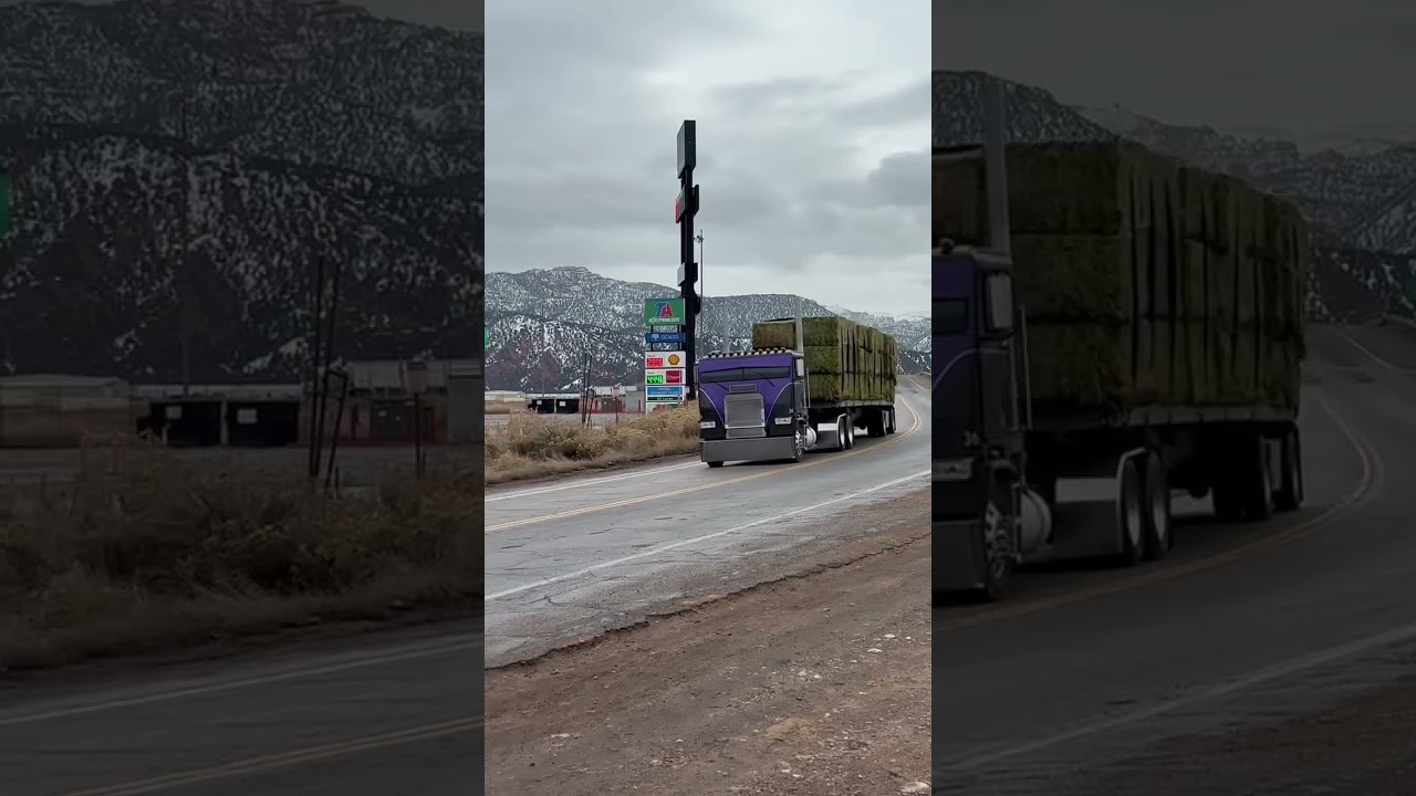 Doesn&rsquo;t need music just them jakes #jakebrake #diesel #caboverde #trucker #hay