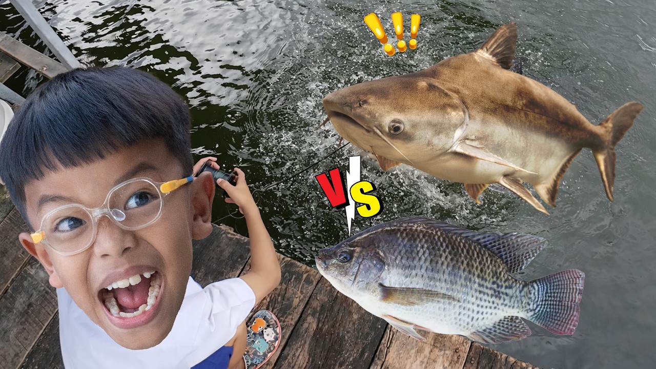 ตกปลานิล VS ตกปลาบึกยักษ์ บึงสำราญ