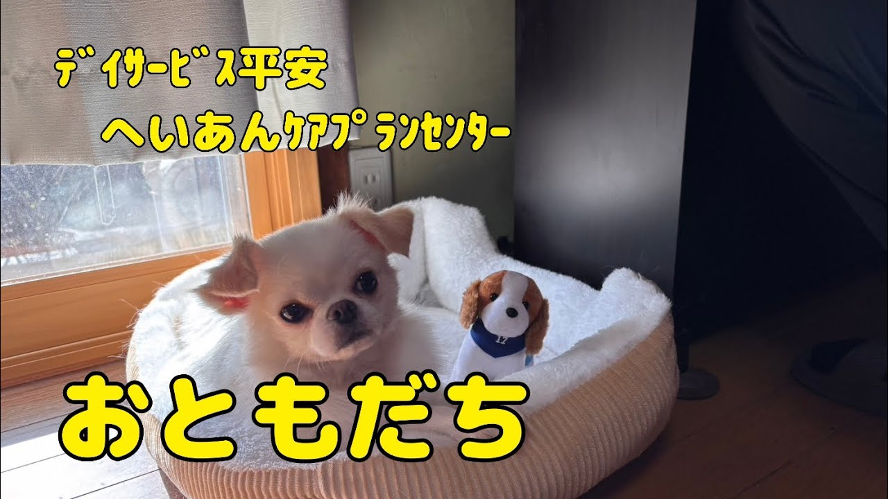 【Vlog793】ﾃﾞｲｻｰﾋﾞｽ平安　へいあんｹｱﾌﾟﾗﾝｾﾝﾀｰ  おともだち