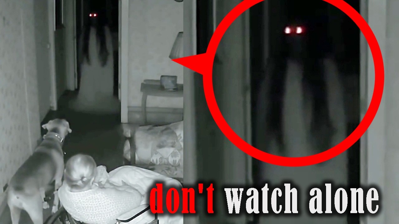 SCARY Videos That’ll Destroy Your Sense of Comfort!