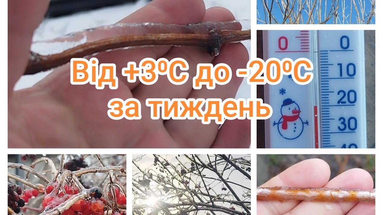 Погода за тиждень. Від дощу і +3⁰С до морозу -20⁰С. І прошу поради щодо панелей.